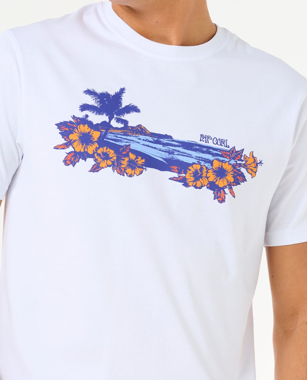 0O8MTE_1000_5_1759132107000