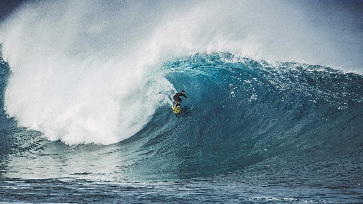 The Search: Iron Horse