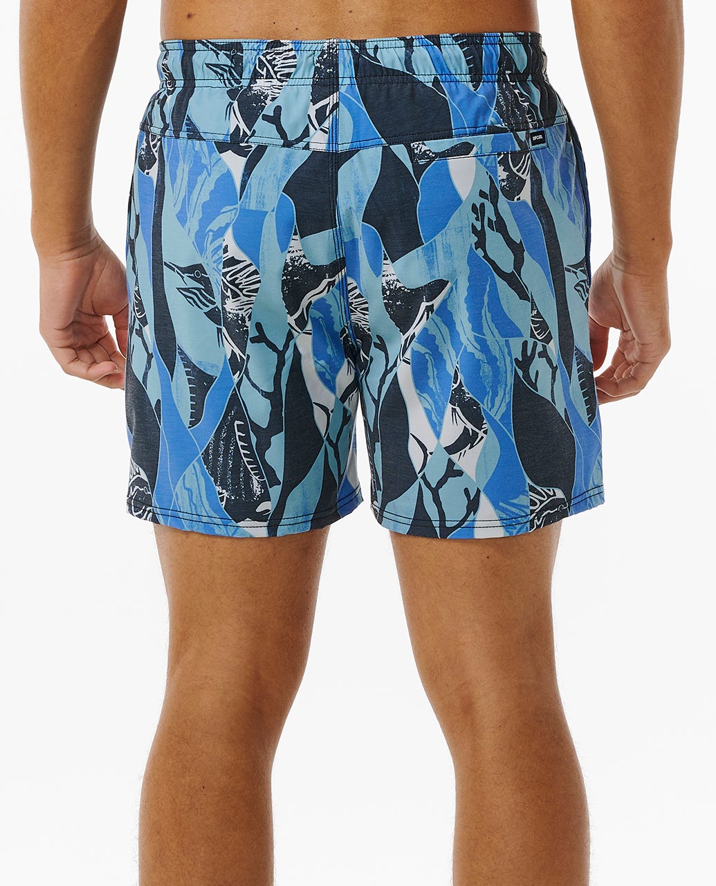 090MBO_8717_3_1759124352000