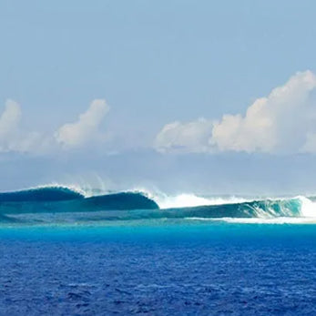 De naam "Rip Curl"