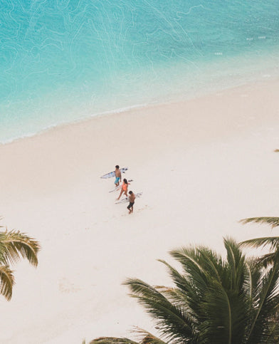 Two people walking on a sandy beach with palm trees and clear blue sky.